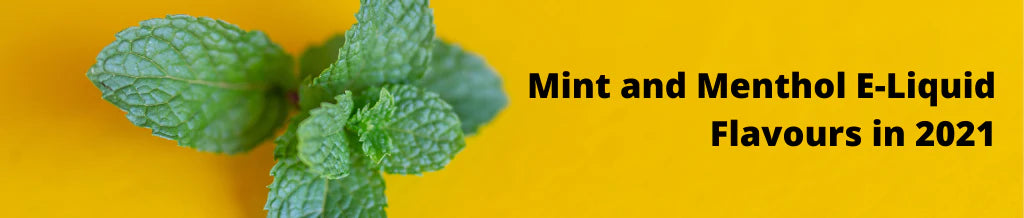 The Best Mint & Menthol E-Liquid Flavours in 2021