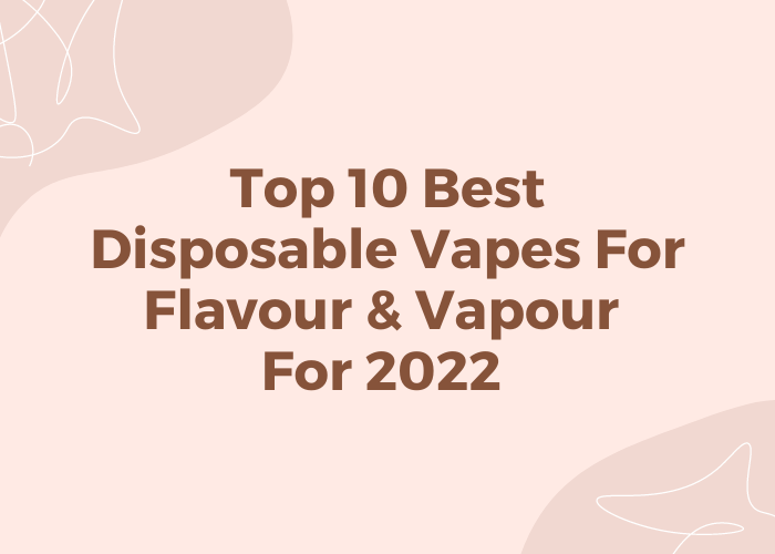 Top 10 Best Disposable Vapes for Flavour & Vapour for 2022 