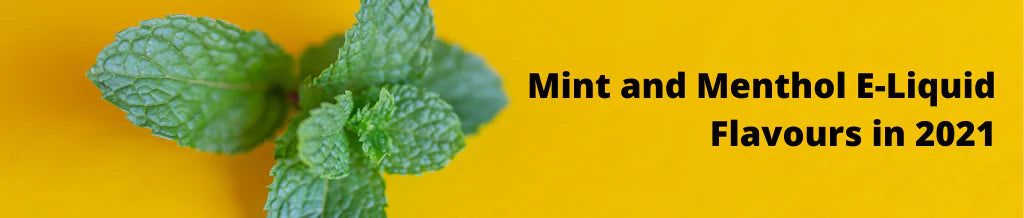 The Best Mint & Menthol E-Liquid Flavours in 2021