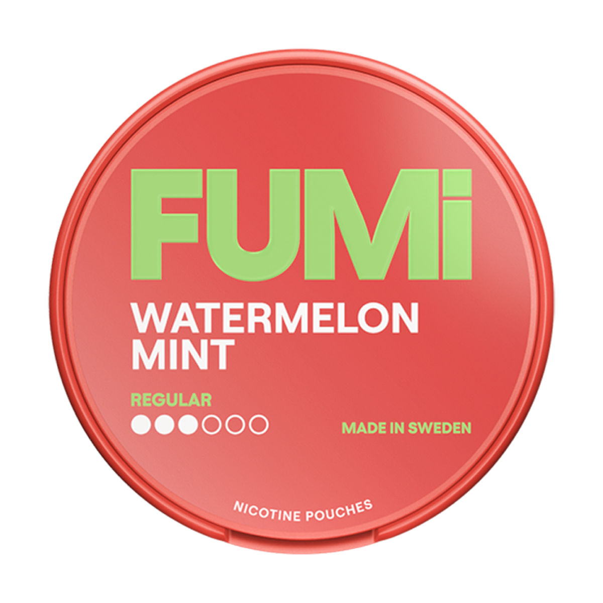 elfbar nachfüll pod läuft aus Menthol Disposable Vapes main image 0