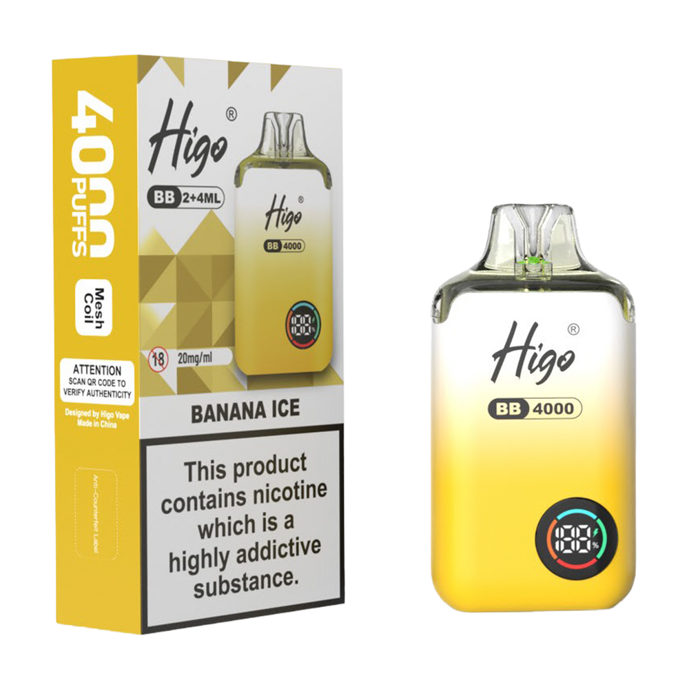 Higo BB 4000 Vape Kit