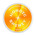 Melon Nordic Spirit Nicotine Pouches melon fresh regular